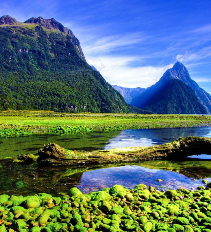 Lakes, Alps &  Fiords Galore