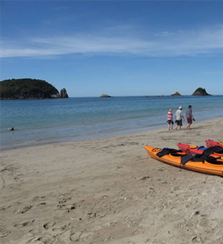 North Island Beaches