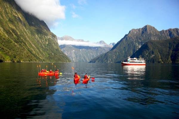 Cruise Kayak Milford Sound Medium