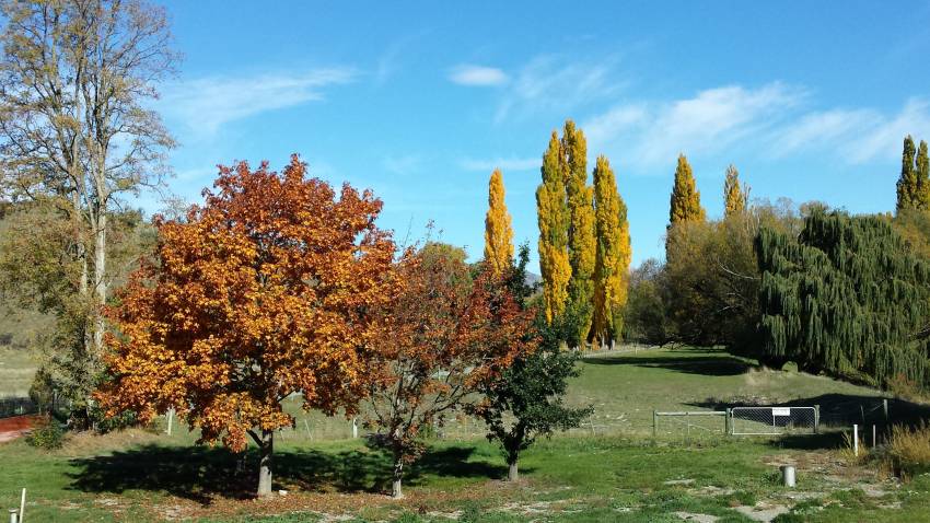 20160419 123958 compressor