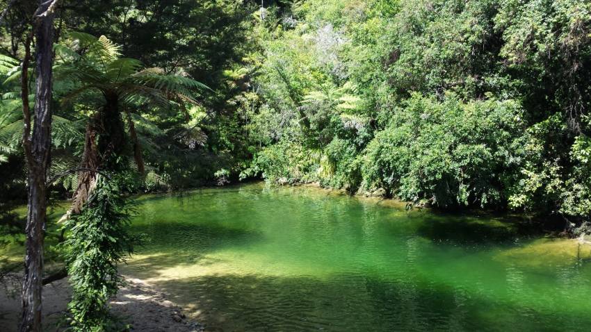 Tranquil river Medium