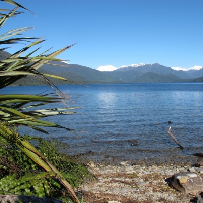 Lake Kaniere Medium 20 Days New Zealand Small Towns & Byways 