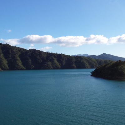 Marlborough Sounds Medium 14 Days Southern Scenic 